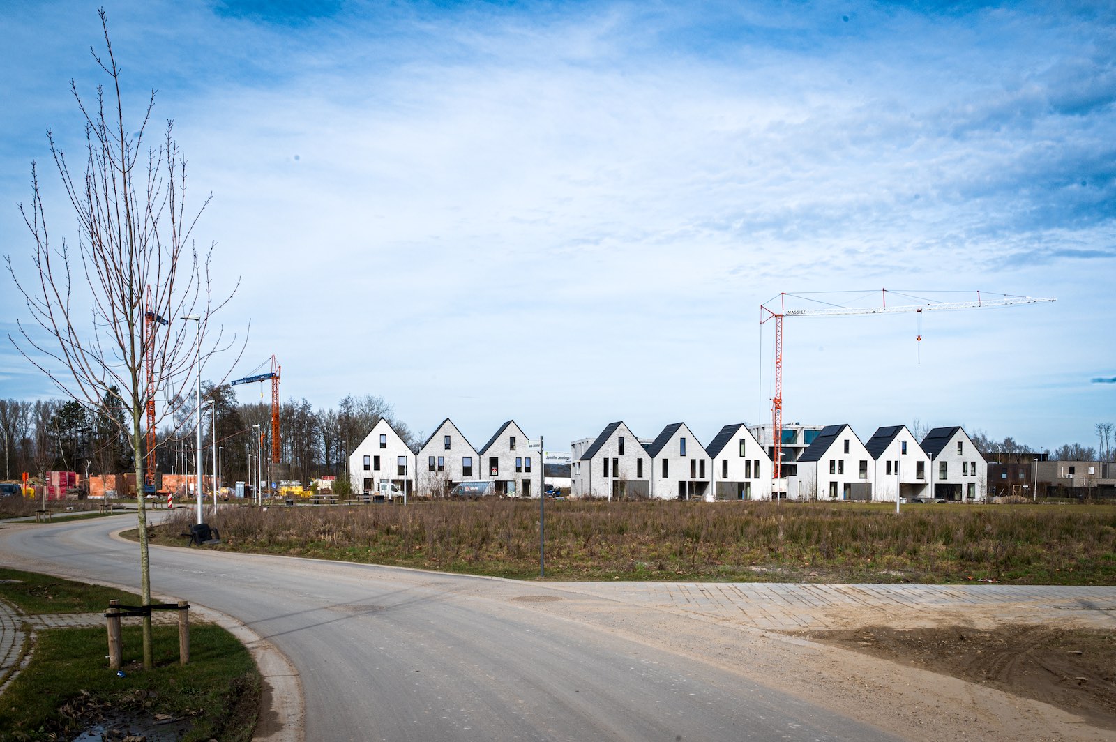 Tamerpark-2026-04-00001